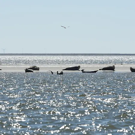 Schleswig-holstein Whg 05 Dg Lejlighed Niblum